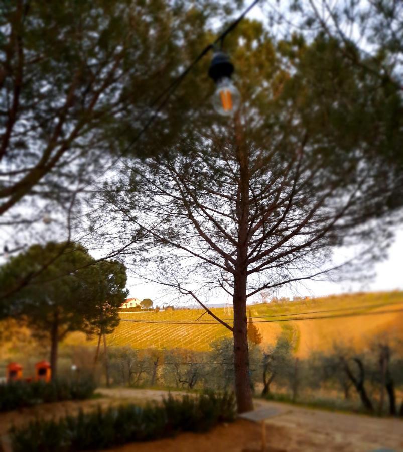 Agricamping Poggio Ai Pini Wine Camping 체르탈도 외부 사진