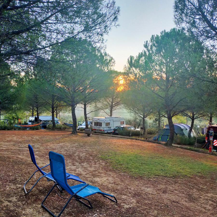 Agricamping Poggio Ai Pini Wine Camping 체르탈도 외부 사진